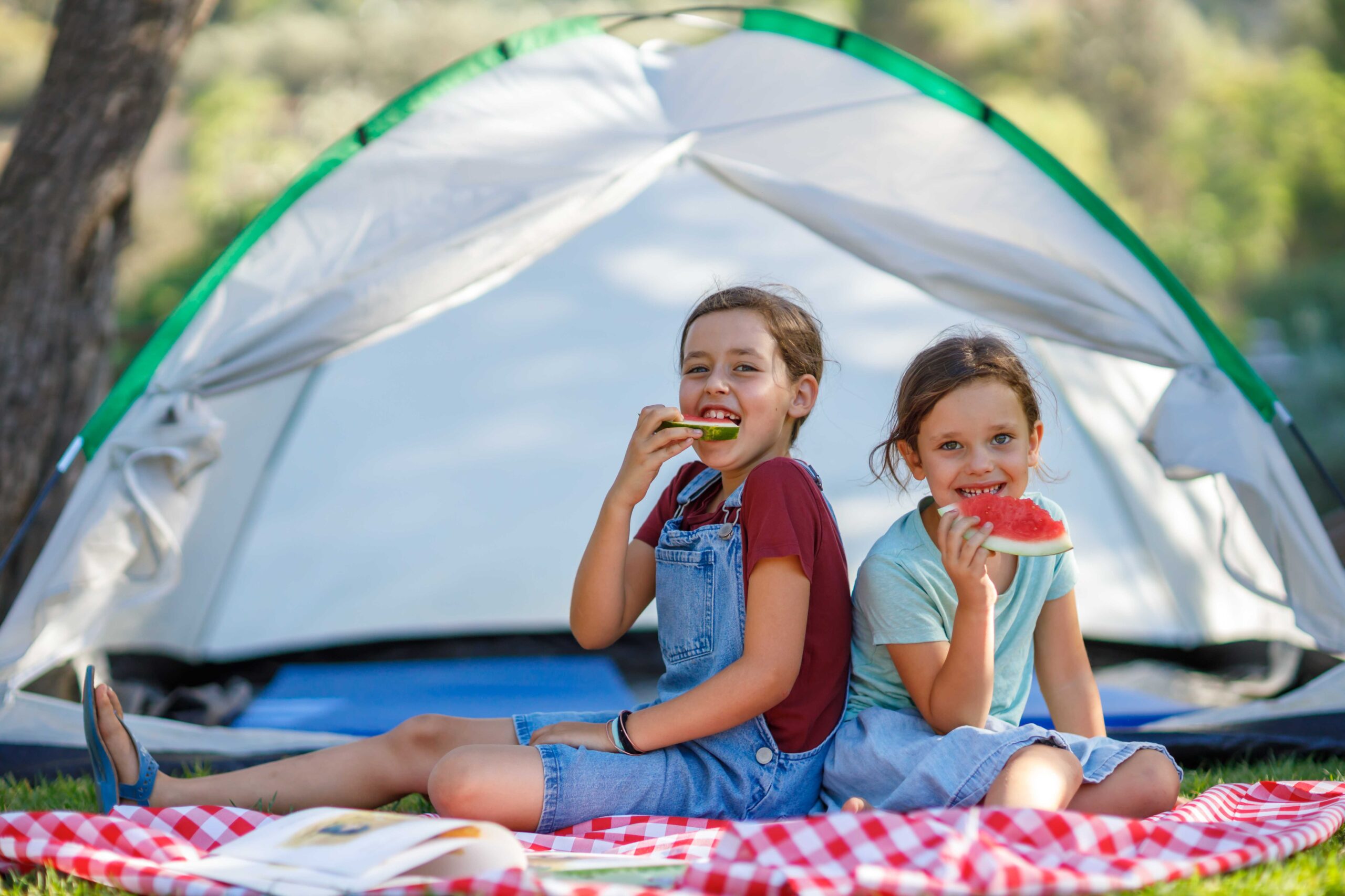 קמפינג יער השלום