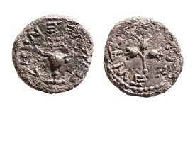 מטבע מחצית השקל