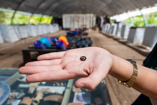 חותם אפולו וברקע אתר הסינון בעמק צורים. צילום: יעל האיתן - עיר דוד