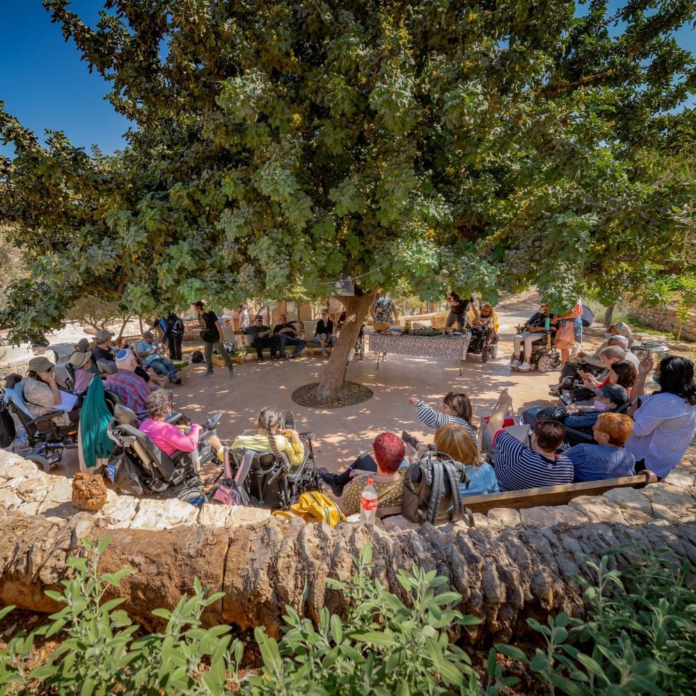 טיולים מונגשים