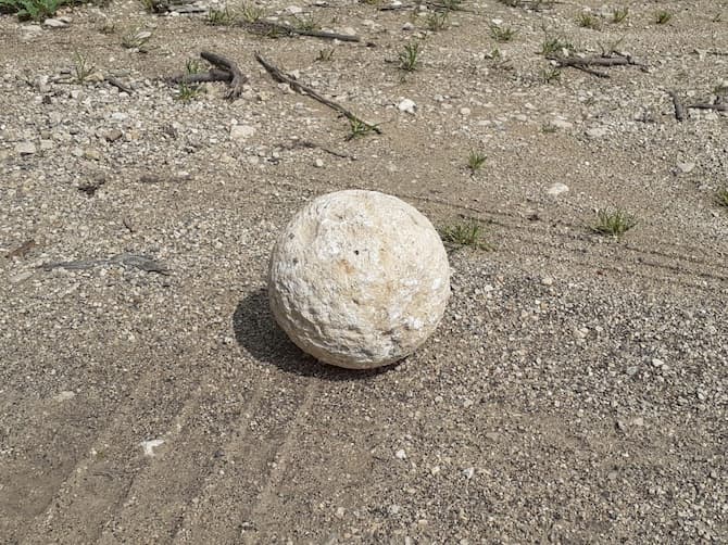 כדור הבליסטרה שהוחזר. צילום: עוזי רוטשטיין - רשות העתיקות