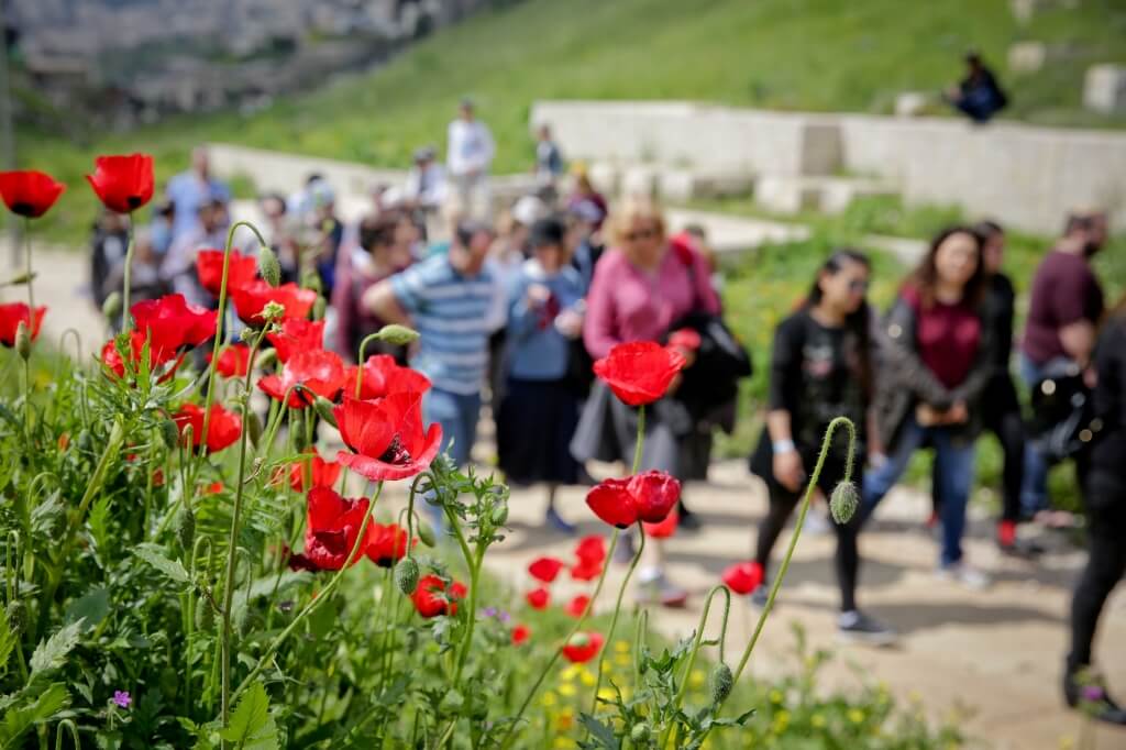 The Kidron Valley is blooming. Photo: Yonit Shiler