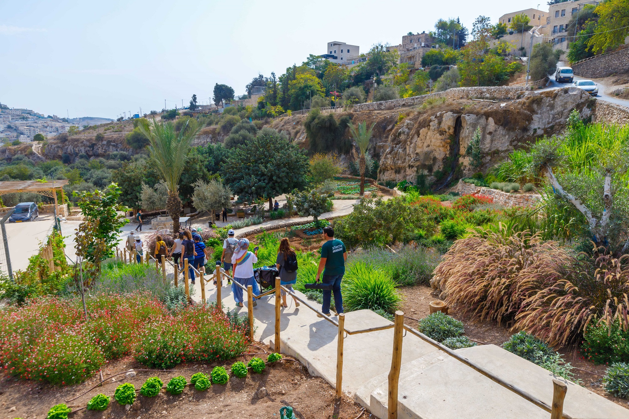 מטיילים בחווה
