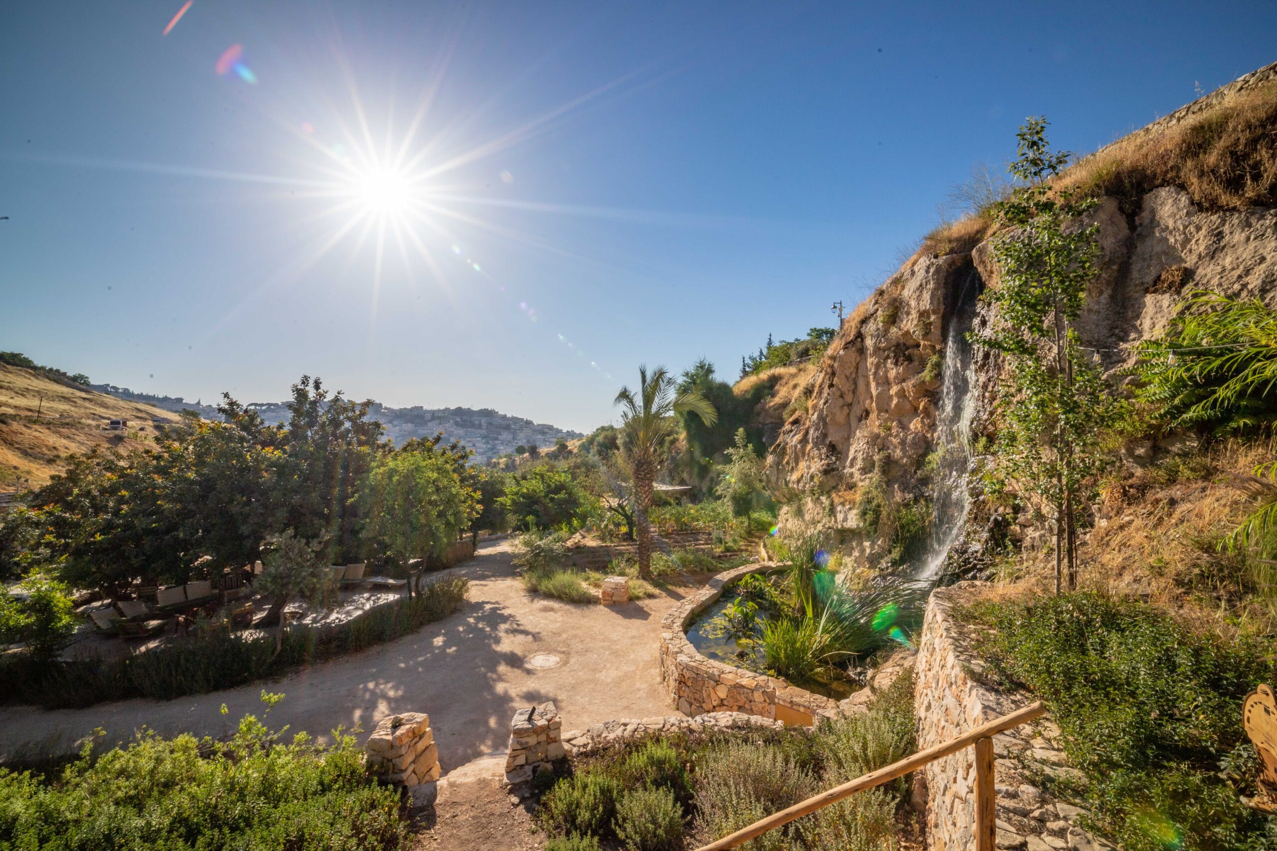 The farm in the valley. Photo: Kobi Harathi, City of David