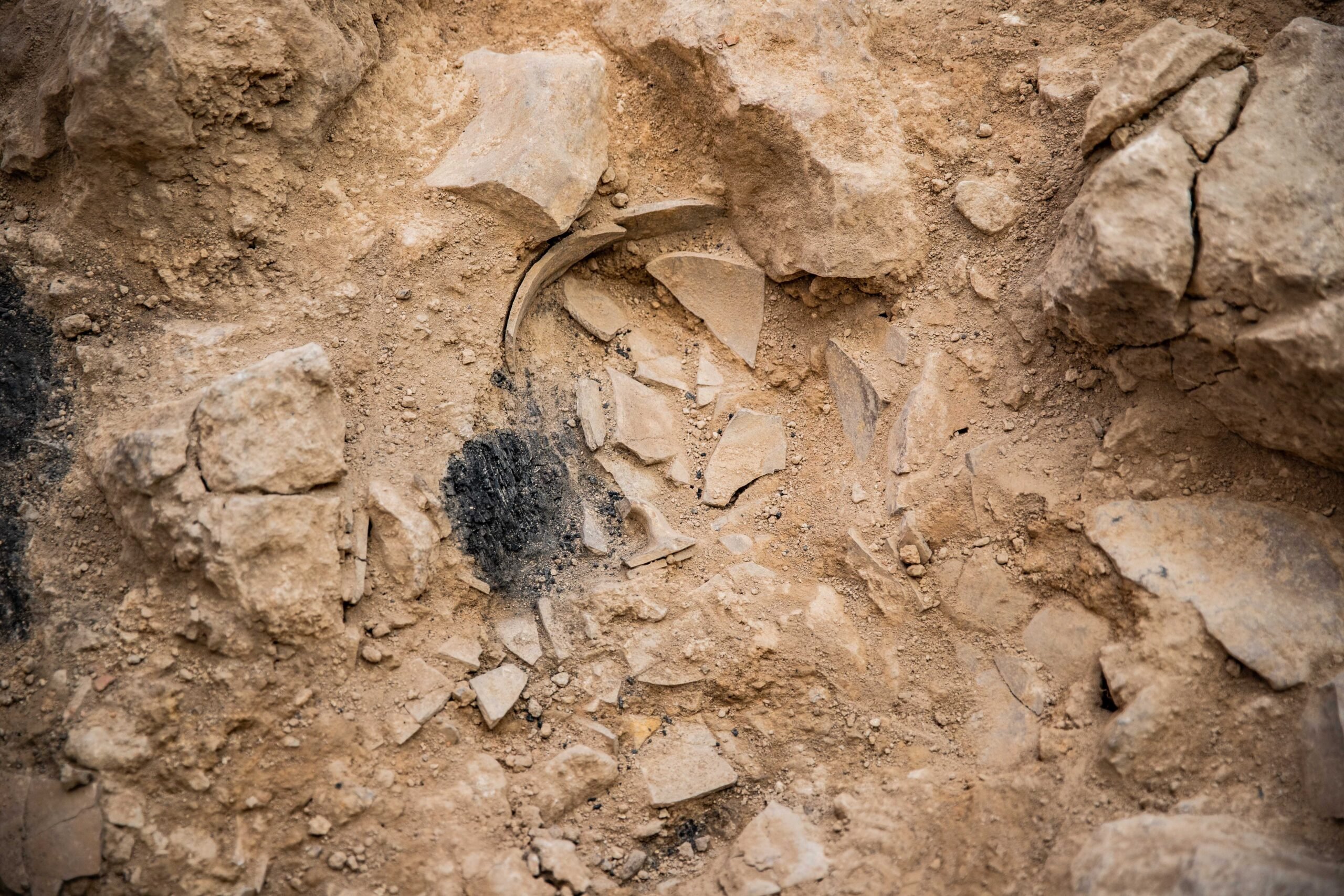 A layer of ash from the time of the First Temple’s destruction (586 BCE), discovered at the Givati Lot dig. Photo: Koby Harati