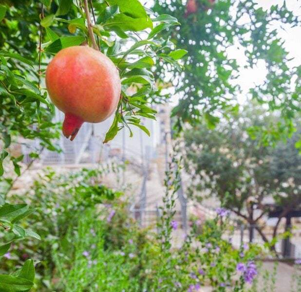 A grenade in the city of David. Photo: Kobi Harathi