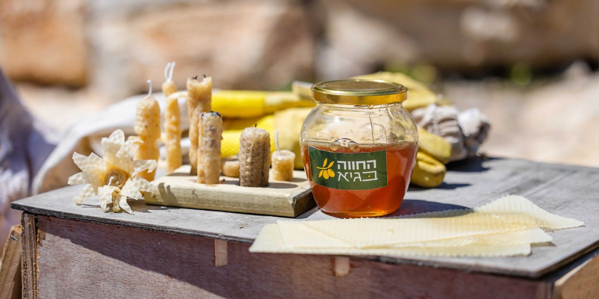 Honey in The Farm in the Valley. Photo: Sefi Berger