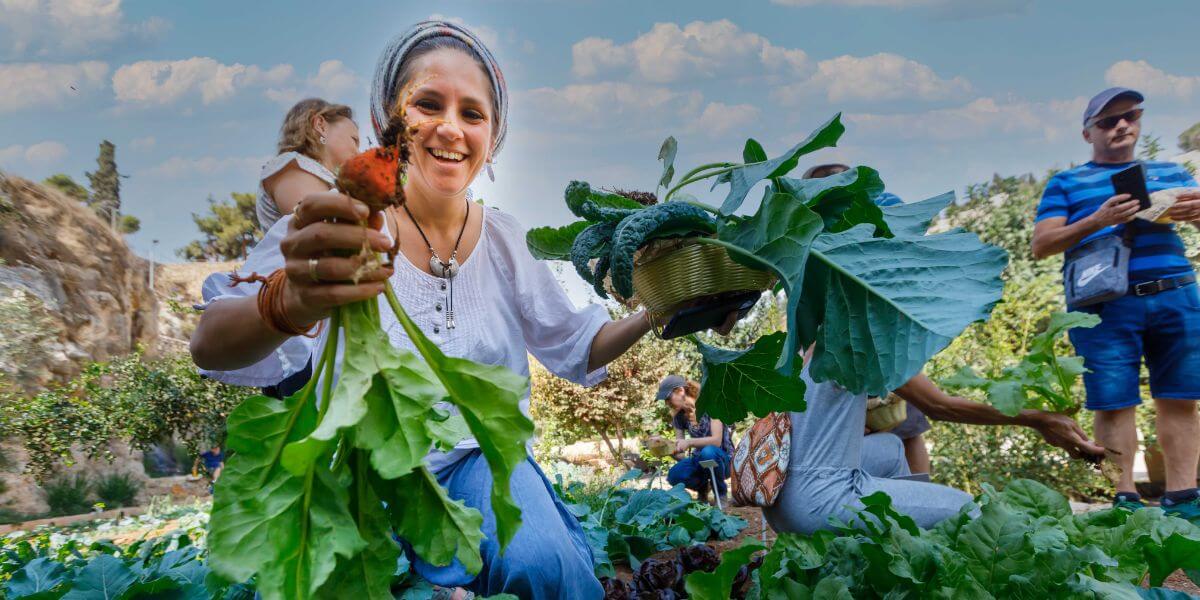 Self-harvesting at the Farm in Valley. Photo: Eliyahu Yanai
