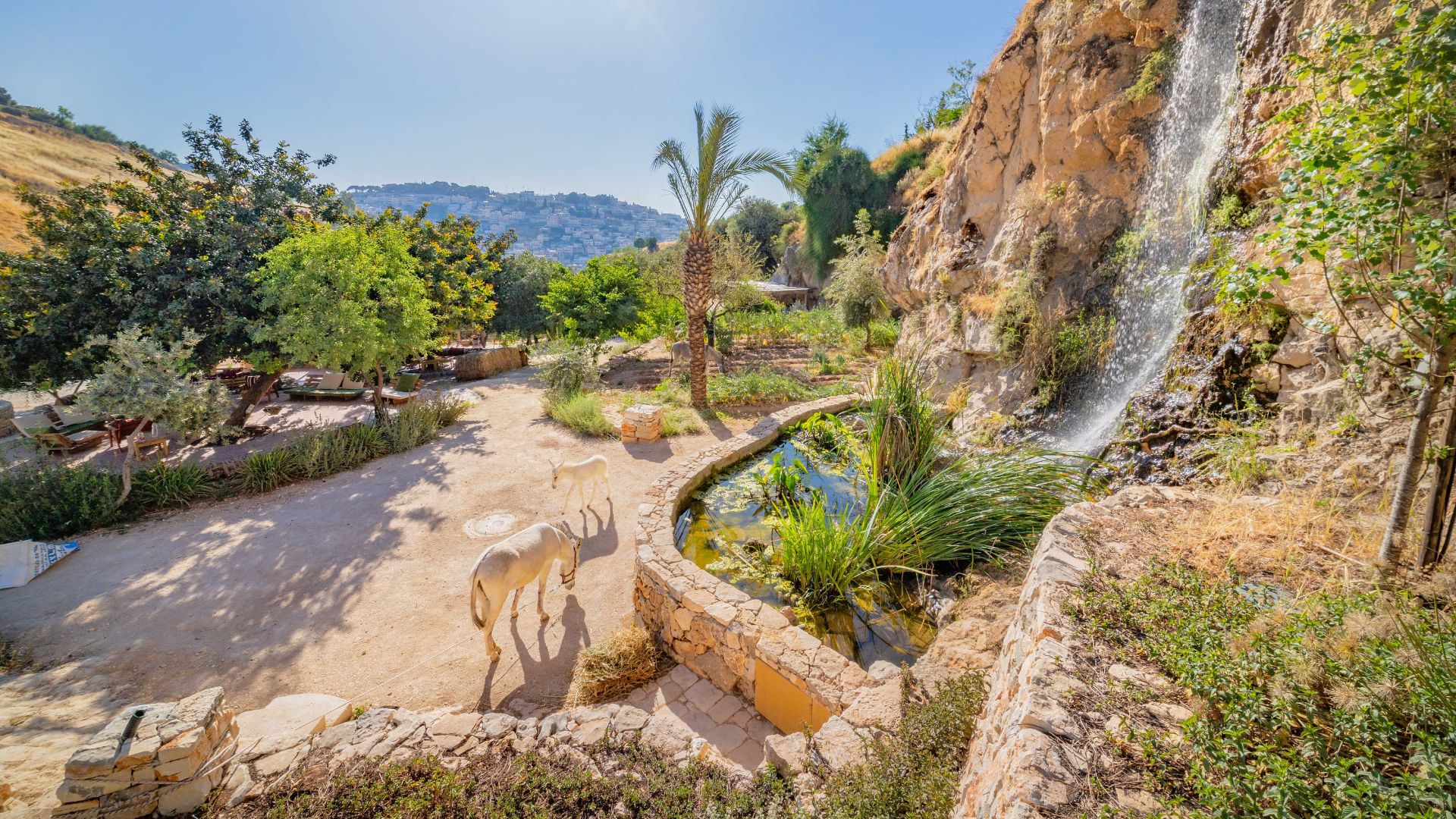 החווה בגיא, צילום: קובי הראתי