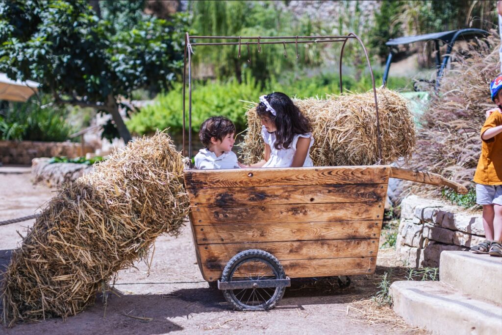 שבועות בחווה בגיא
