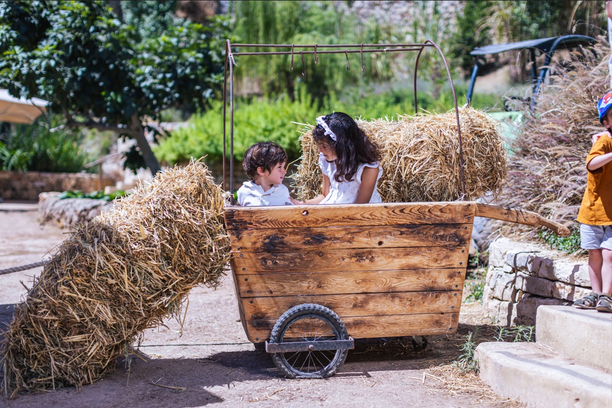 ילדים בשבועות בחווה בגיא