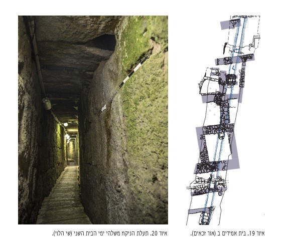 איור 19-20