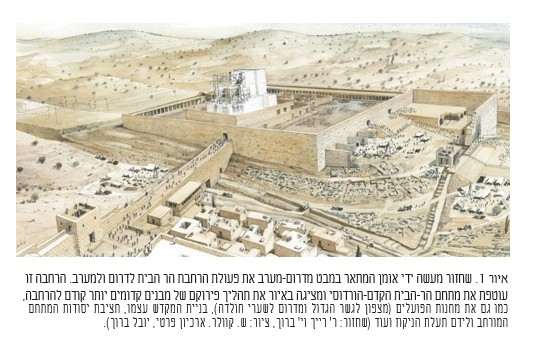 איור 1