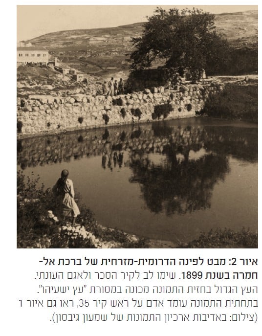איור 2