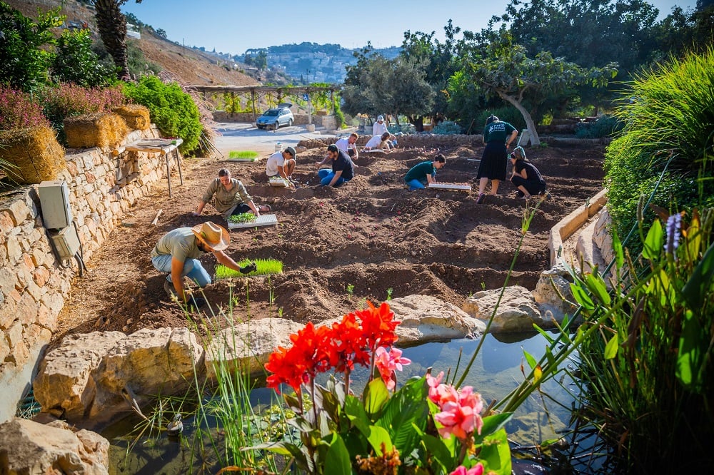 חקלאות בחווה בגיא