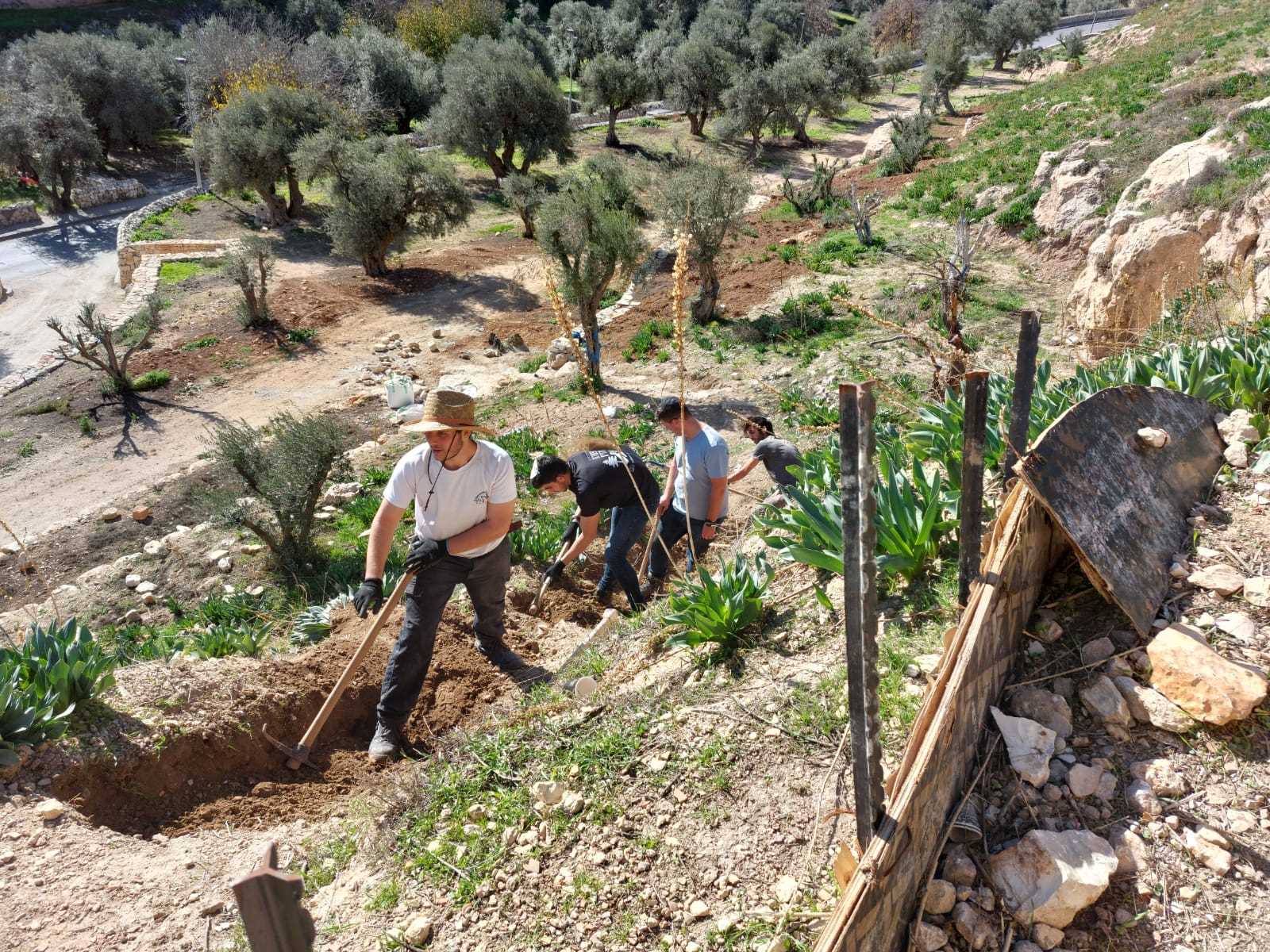 עובדים בחווה בגיא, תוכנית לנוער בחווה בגיא