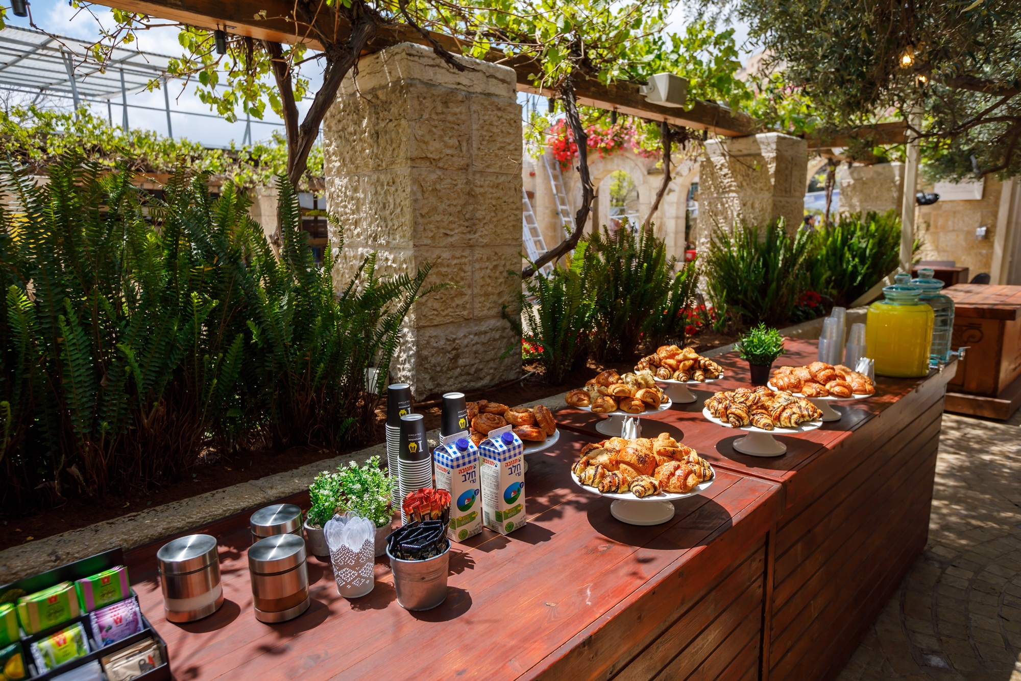 בר מצווה עיר דוד