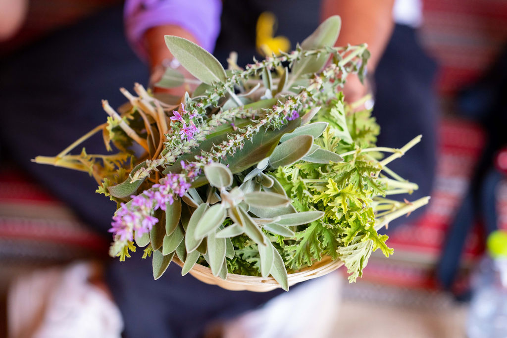 אירוע חברה בחווה