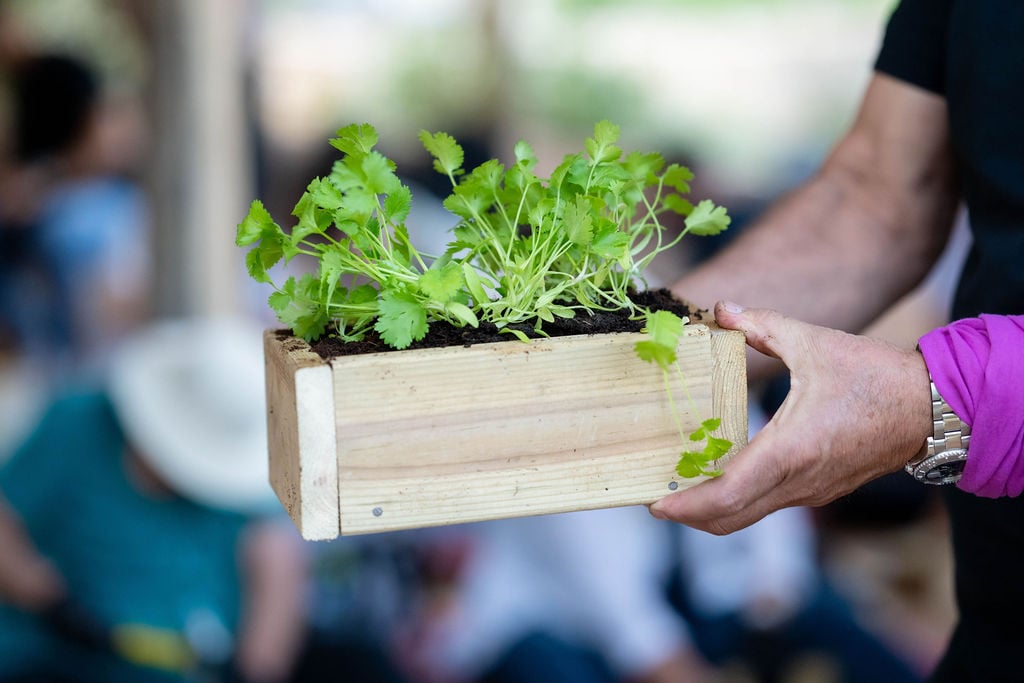 אירוע חברה בחווה