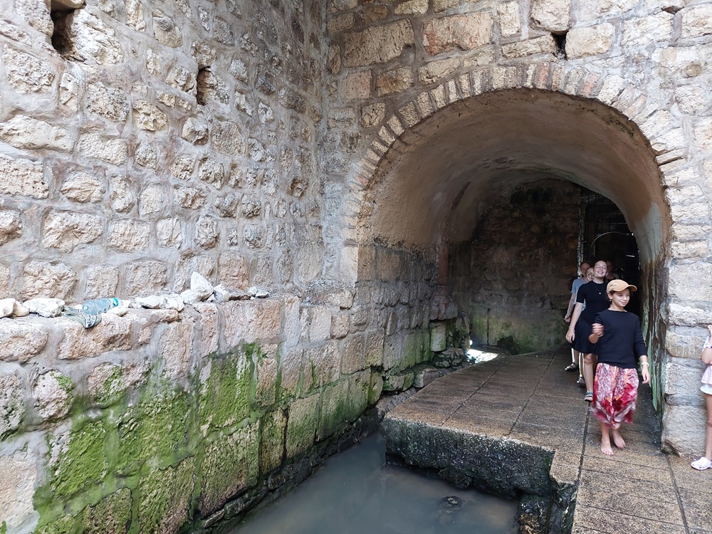 ילדים בעיר דוד